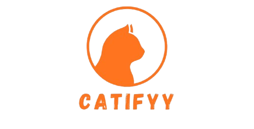 Catiffy | Everything about Cats